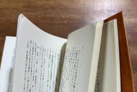日本神異見聞傳