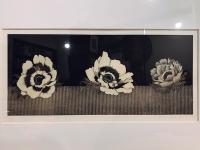 武田史子銅版画作品：3つのアネモネ　Three anemones