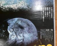 映画ポスター　ストーカー（アンドレイ・タルコフスキー）