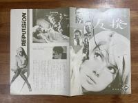 映画「反撥」プレスシート　ロマン・ポランスキー監督　カトリーヌ・ドヌーブ