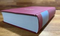 ヘーゲル全集 5　HEGEL GESAMMELTE WERKE 5 SCHRIFTEN UND ENTWURFE（1799-1808）