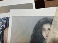 秘蔵画帖 小妻容子 妖女十二姿 12葉揃