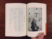 私のための芸能野史