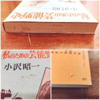 私のための芸能野史