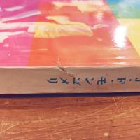 夜のニッポン探検