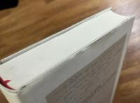 Le Corbusier Choix de lettres