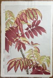 河原崎奨堂　花版画「はぜ」