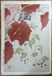 河原崎奨堂　花版画「山ぶどう　まるばのほろし」