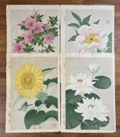 京の花ごよみ　四季の花　河原崎奨堂木版画12枚揃い