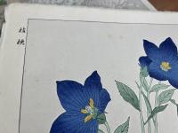 京の花ごよみ　四季の花　河原崎奨堂木版画12枚揃い