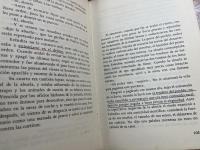 LA INCREIBLE Y TRISTE HISTORIA DE LA CANDIDA ERENDIRA Y DE SU ABUELA DESALMADA エレンディラ（スペイン語版）