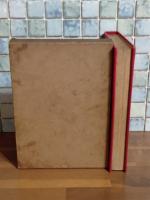 女優ナナ　縮刷版初版