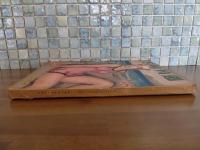 週刊朝日　夏季特別号　大下宇陀児『赤蹄館の狂毒』掲載