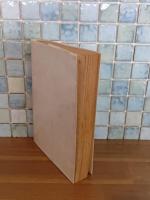 美文韻文暗香疎影