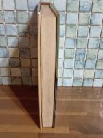 肉弾戦線異状なし