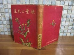 嫩葉の木立　新人文学叢書6