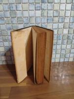 嫩葉の木立　新人文学叢書6