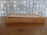 女給日記　発禁無削除　発行4日前に風俗禁止処分