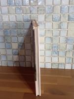 グラフィック詩集石膏の菫　