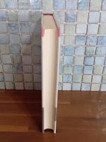 空飛ぶ馬　デビュー作