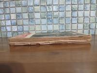 ロート・フロント　発禁無削除