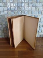 白樺同人脚本集　岸田劉生木版画装