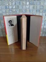 一条さゆり　裸の人生