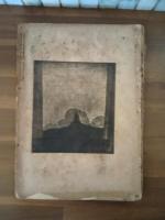 仮面　17号　長谷川潔口絵入