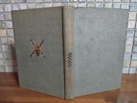 青白き巣窟　元版　恩地孝四郎装