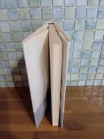 回転木馬のデッド・ヒート