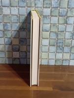 猛スピードで母は　芥川賞