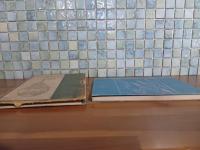 英文詩集FROM  THE  EASTERN  SEA　野口米次郎英字署名入