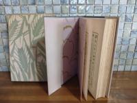 少年小説栗の花の咲くころ　竹久夢二装