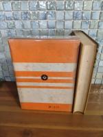 伝記小説将軍秋山好古