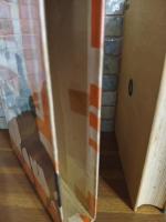 伝記小説将軍秋山好古