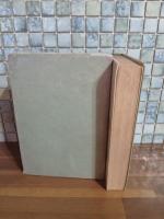 素裸の自画像　伊澤蘭奢遺稿　発禁無削除