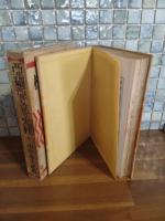 亜細亜に立つ火柱　異装版