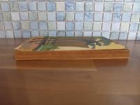 南方冒険小説白魔追放