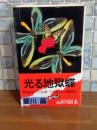 光る地獄蝶　カッパノベルス