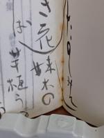 歌集樹下集　毛筆歌署名入