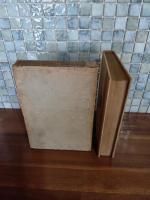 雪と花火　東京景物詩