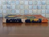 お伽噺白銀王　観邦画