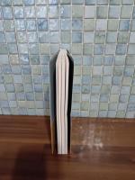 新しき過去　栗木京子歌集