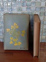 西條八十抒情詩選