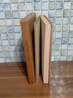 中原中也研究　ユリイカ版