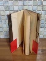 若き作家の青春譜