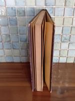 現代藝妓十講　山口草平木版装　藝妓生活の裏面と真祖た