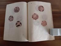 土めんこ　カッパ刷　限定50部