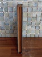 童話集ペスト博士の夢　第二童話集