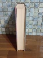 リヴィエラを撃て